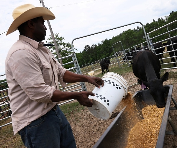 Banks Boost Black Minority Farm Loan Relief Program – Texas News Today Texas News Today